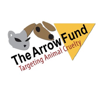 The-Arrow-Fund