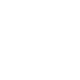 pdf-icon